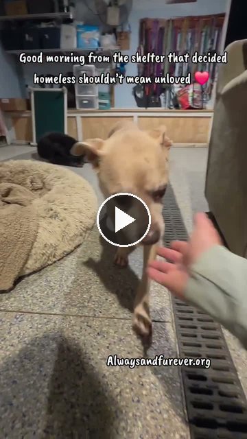 video — Sep 18 2026