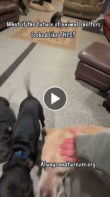 video — Sep 18 2026