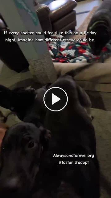 video — Sep 19 2026
