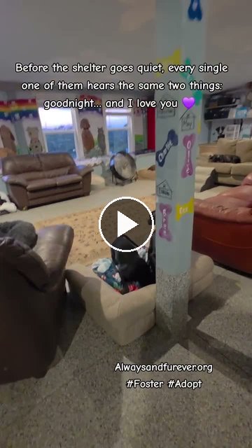video — Sep 19 2026
