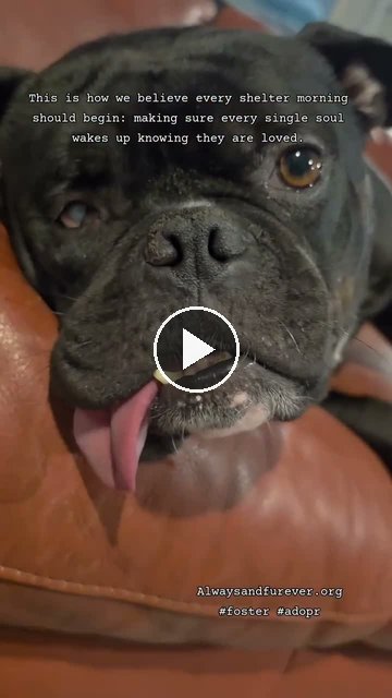 video — Sep 19 2026