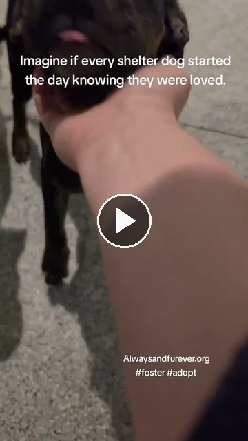 video — Sep 20 2026