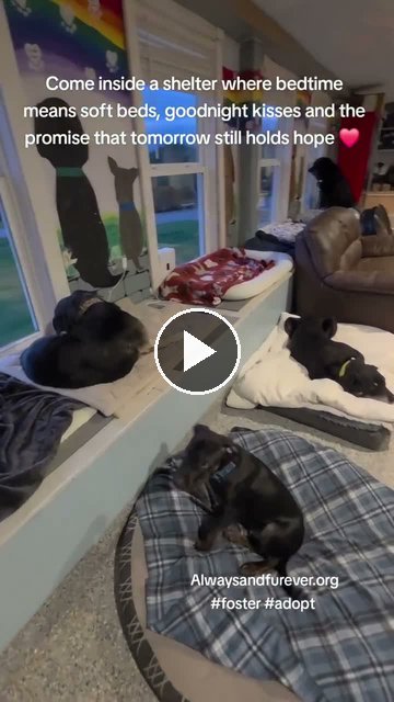video — Sep 21 2026