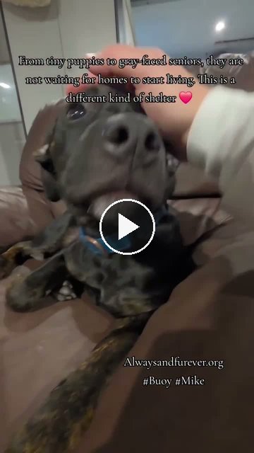video — Sep 21 2026