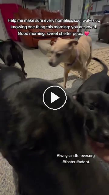 video — Sep 21 2026