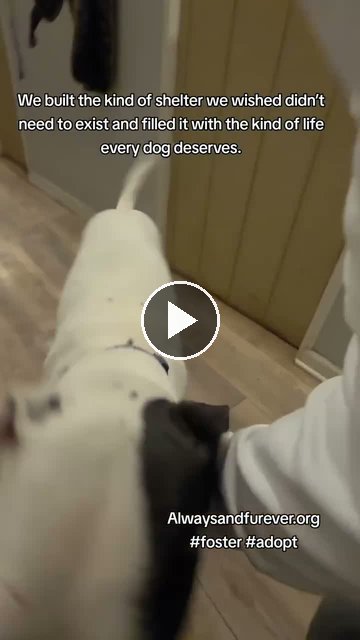 video — Sep 21 2026