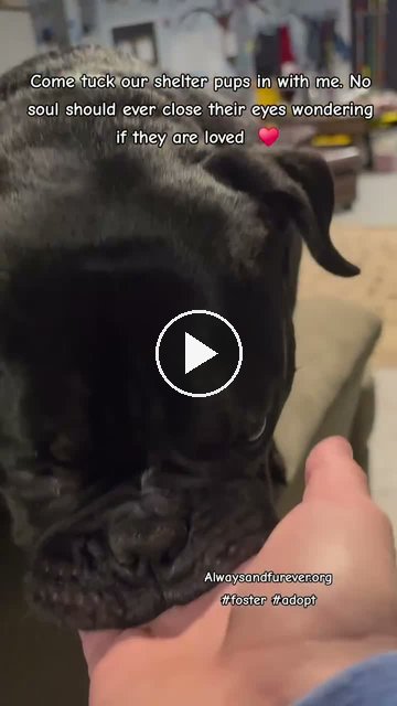 video — Sep 22 2026