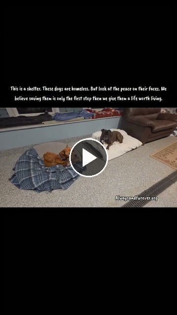 video — Sep 22 2026