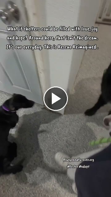 video — Sep 22 2026