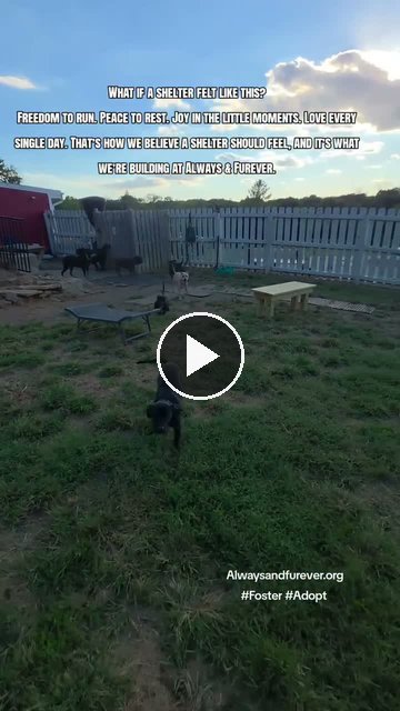 video — Sep 22 2026