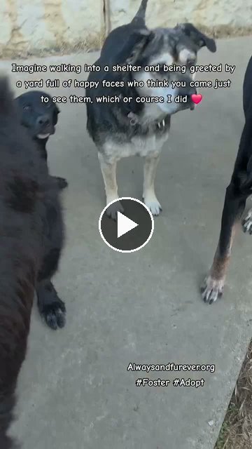 video — Sep 22 2026