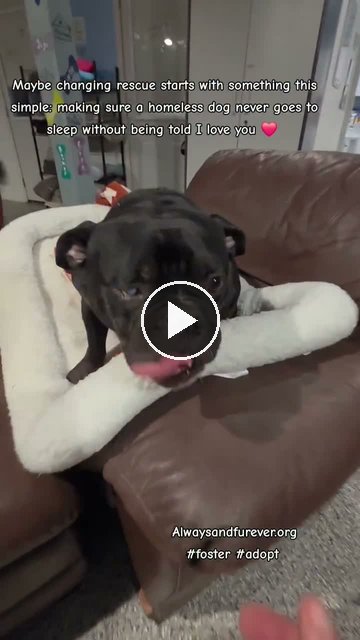 video — Sep 23 2026