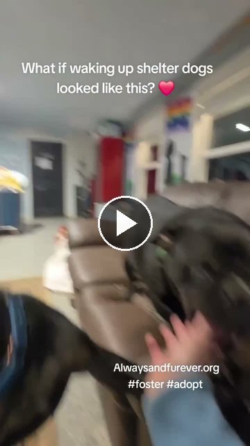 video — Sep 23 2026