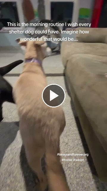 video — Sep 23 2026