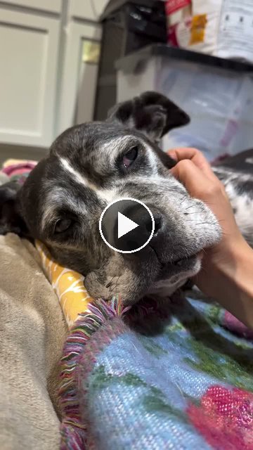 video — Sep 23 2026