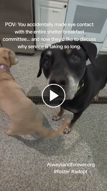 video — Sep 24 2026