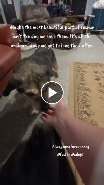 video — Sep 24 2026