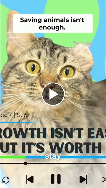 video — Sep 24 2026