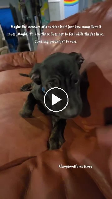 video — Sep 25 2026