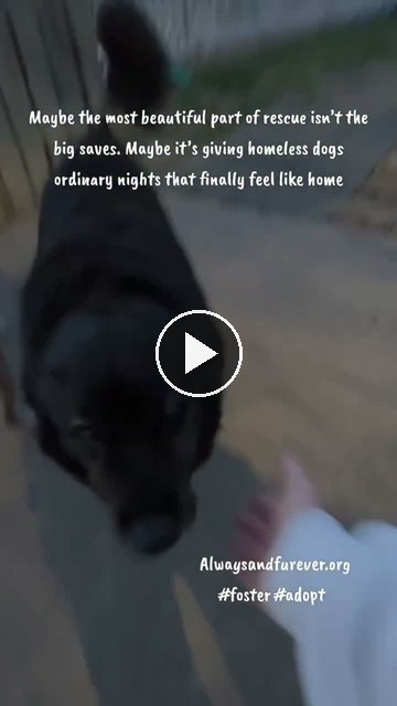 video — Sep 25 2026