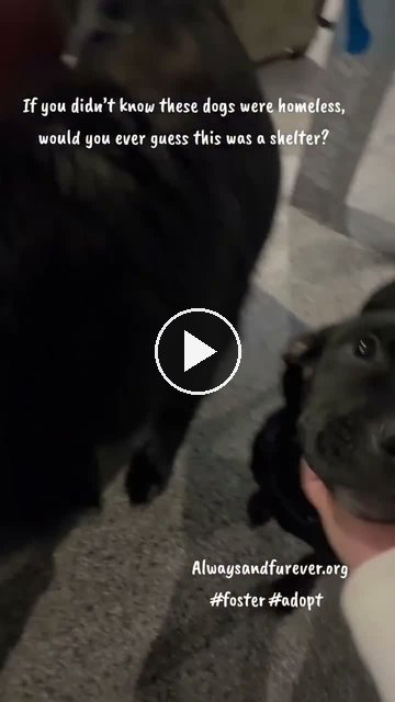 video — Sep 25 2026
