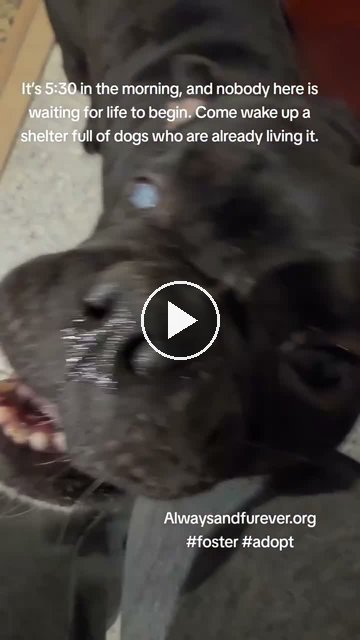 video — Sep 25 2026