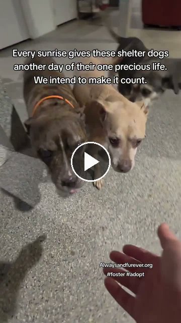 video — Sep 25 2026