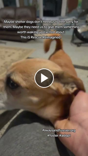 video — Sep 25 2026