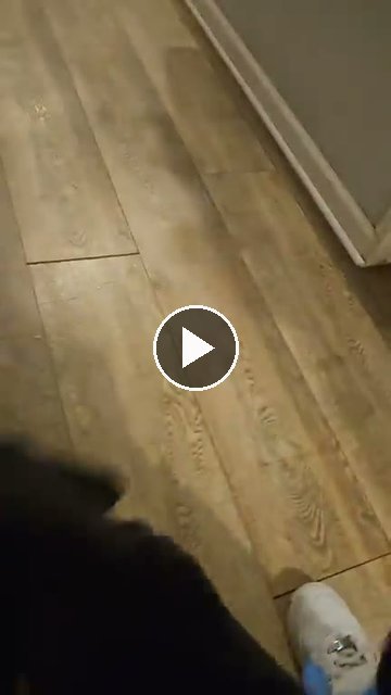 video — Aug 1 2026