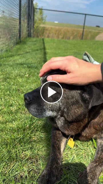 video — Sep 26 2026