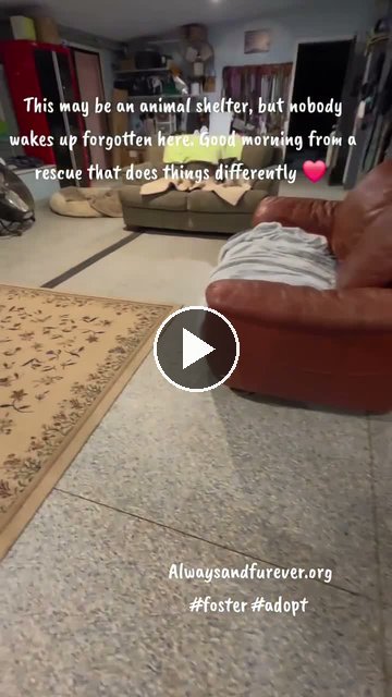 video — Sep 28 2026