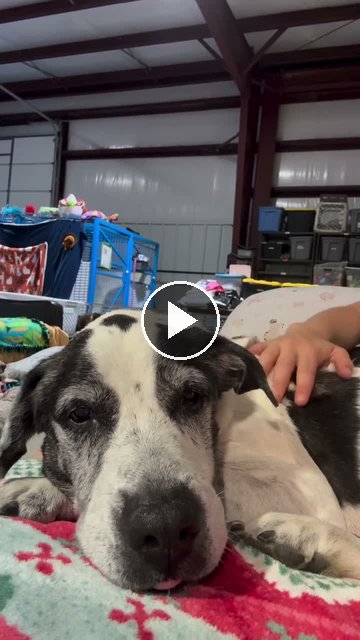 video — Sep 28 2026