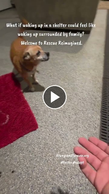 video — Sep 29 2026