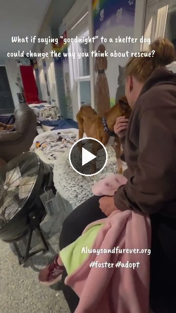 video — Sep 30 2026