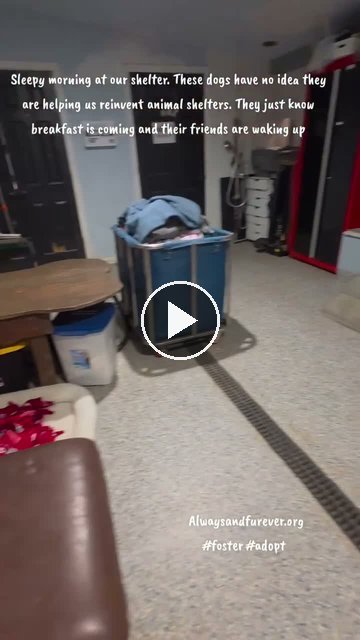 video — Sep 30 2026