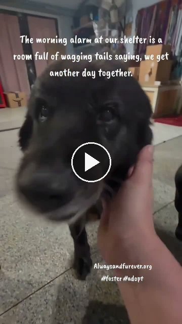 video — Oct 1 2026