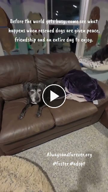 video — Oct 2 2026
