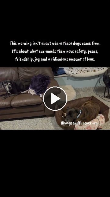 video — Oct 2 2026