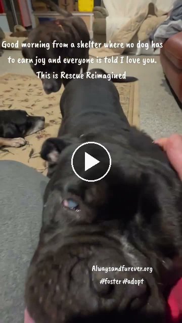 video — Oct 3 2026