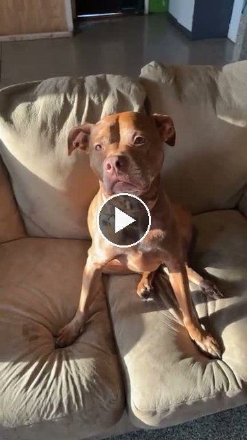 video — Aug 18 2026