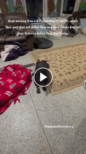 video — Oct 4 2026