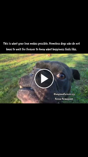 video — Oct 4 2026