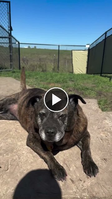 video — Oct 4 2026