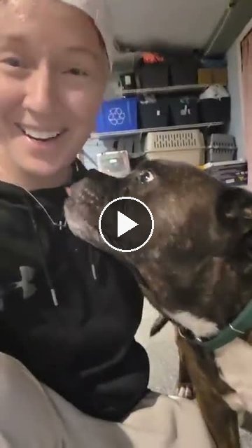 video — Sep 3 2026