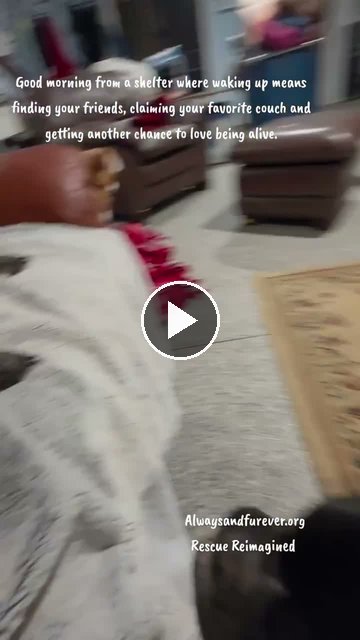 video — Oct 5 2026