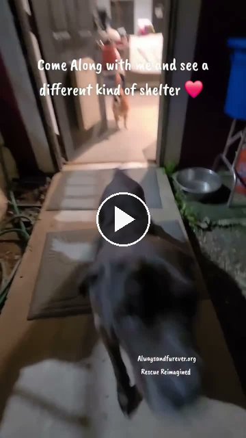 video — Oct 5 2026