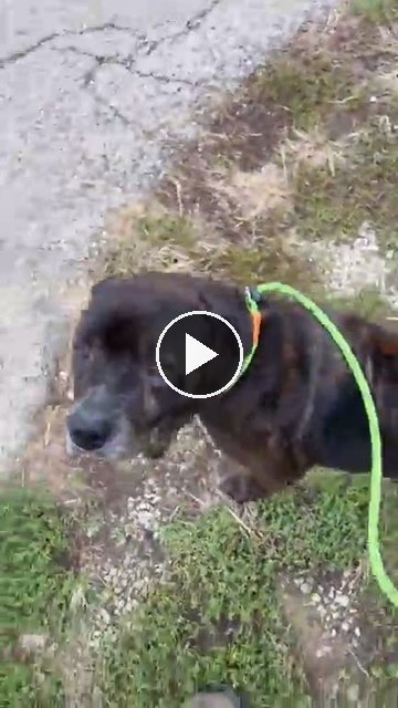 video — Sep 30 2026