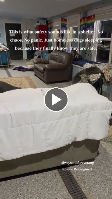 video — Oct 6 2026