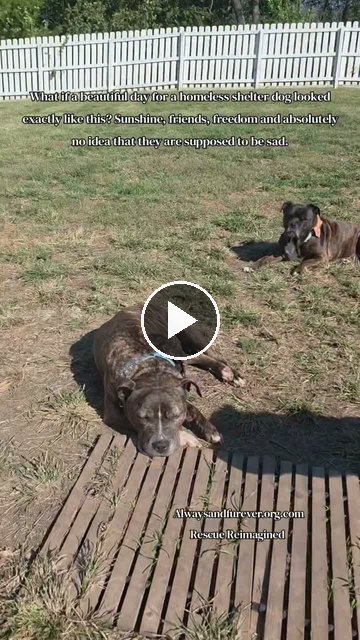 video — Oct 6 2026