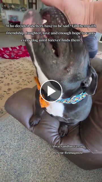 video — Oct 6 2026